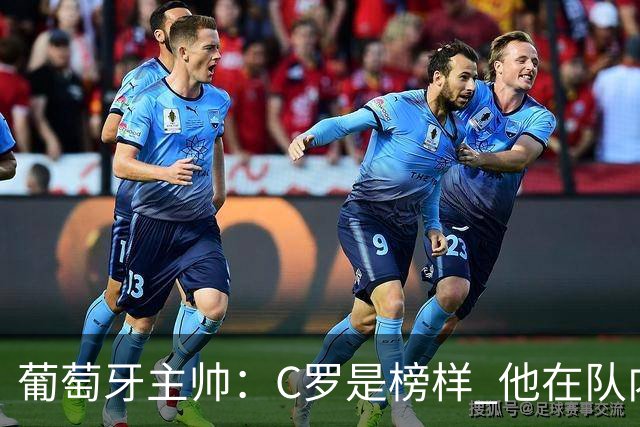 葡萄牙主帅：C罗是榜样 他在队内的重要性像是他首次参加世界杯